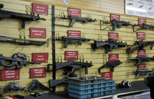 the-gun-store