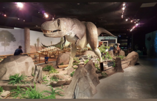 las-vegas-natural-history-museum