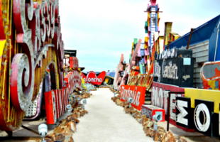 neon-museum